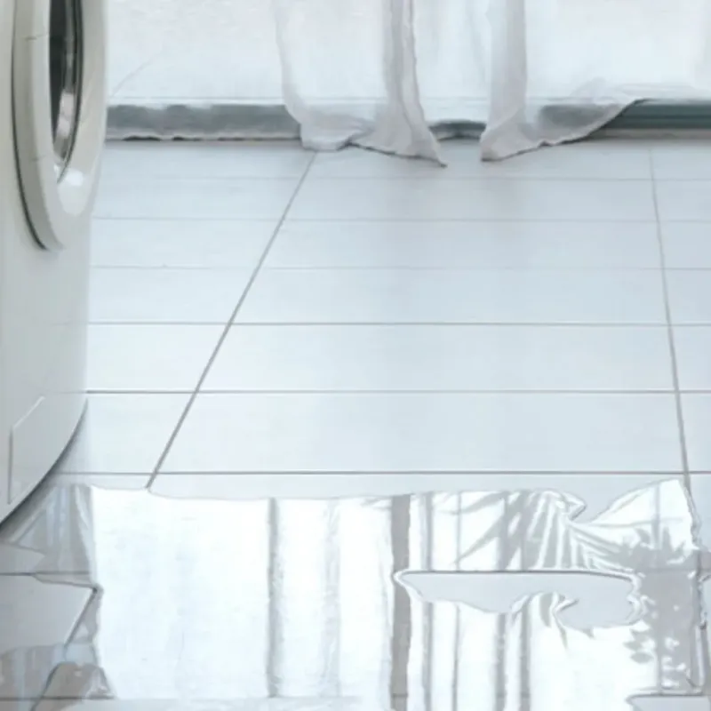 Appliance Leak Cleanup in Peaceful Valley, WA