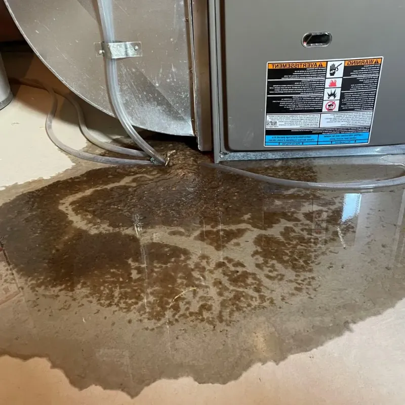 Pipe Burst and Leak Restoration in Peaceful Valley, WA